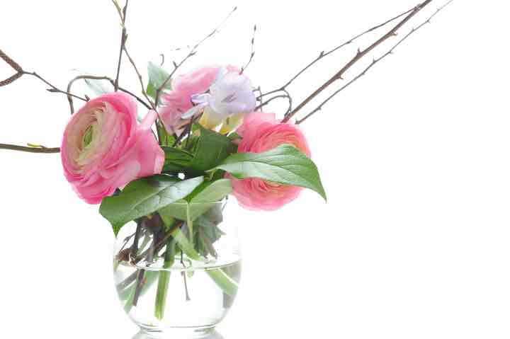 Ranunculus bouquet of pink ranunculus with spring branches