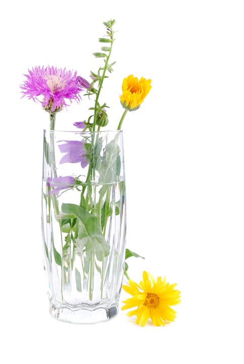 Small bouquet from colours collected in a transparent glass with water.